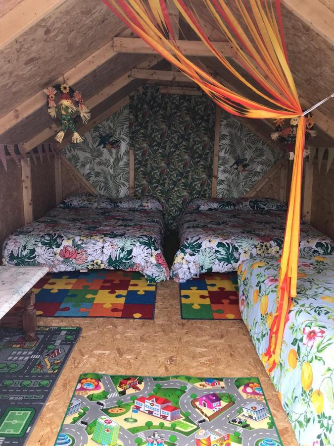 Shannon Estuary Glamping Effernan Eksteriør bilde