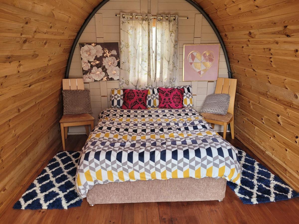 Shannon Estuary Glamping Effernan Eksteriør bilde