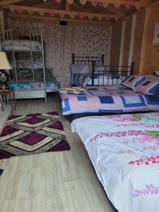 Shannon Estuary Glamping Effernan Eksteriør bilde
