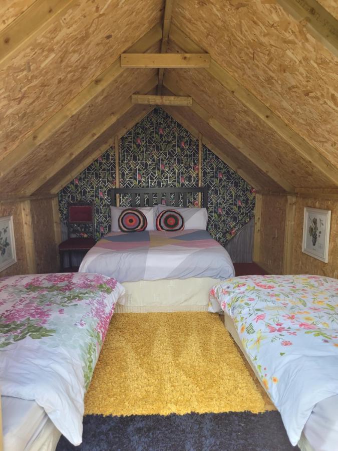 Shannon Estuary Glamping Effernan Eksteriør bilde