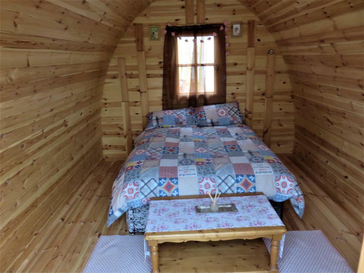 Shannon Estuary Glamping Effernan Eksteriør bilde