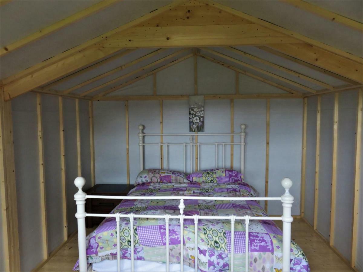 Shannon Estuary Glamping Effernan Eksteriør bilde