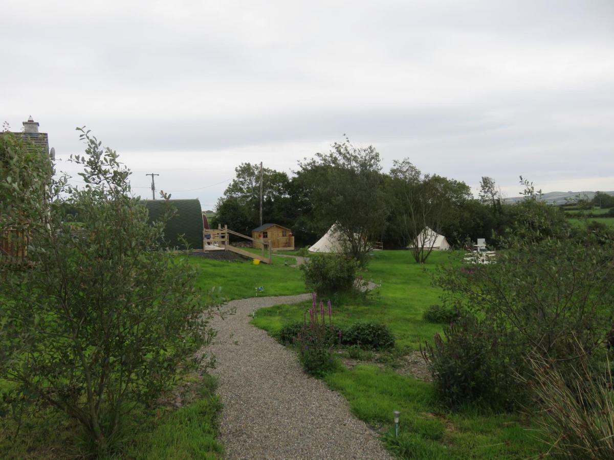 Shannon Estuary Glamping Effernan Eksteriør bilde
