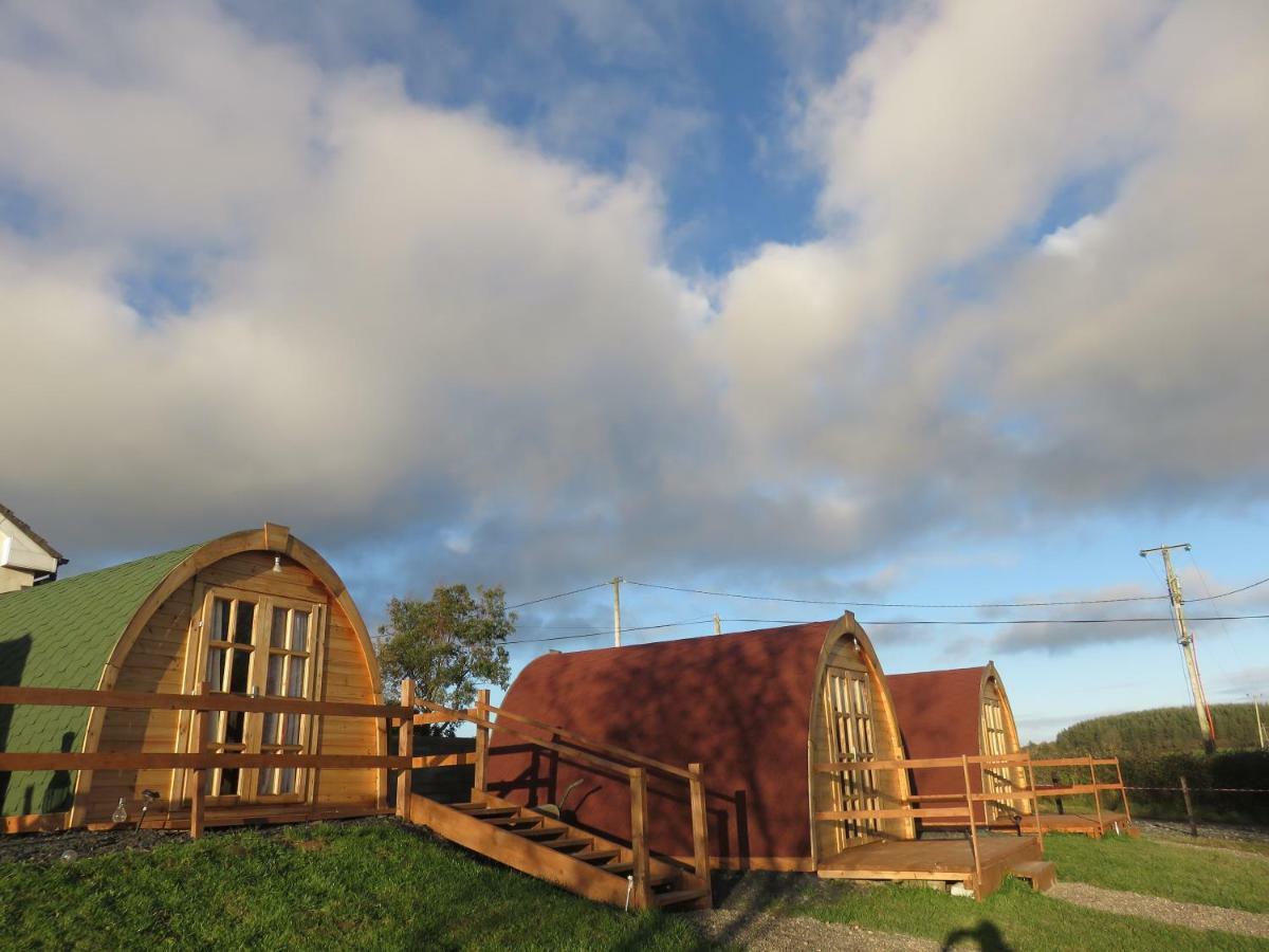Shannon Estuary Glamping Effernan Eksteriør bilde
