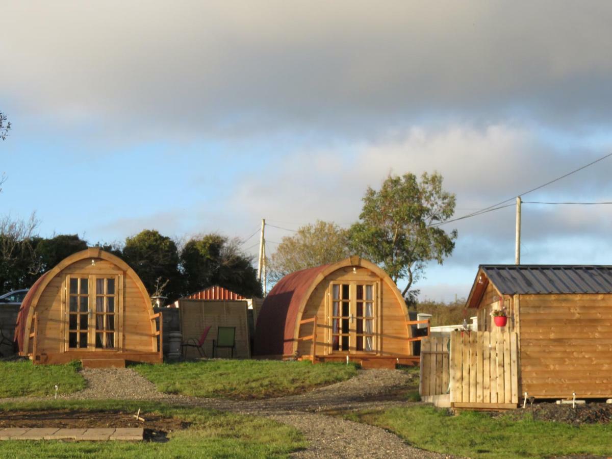 Shannon Estuary Glamping Effernan Eksteriør bilde