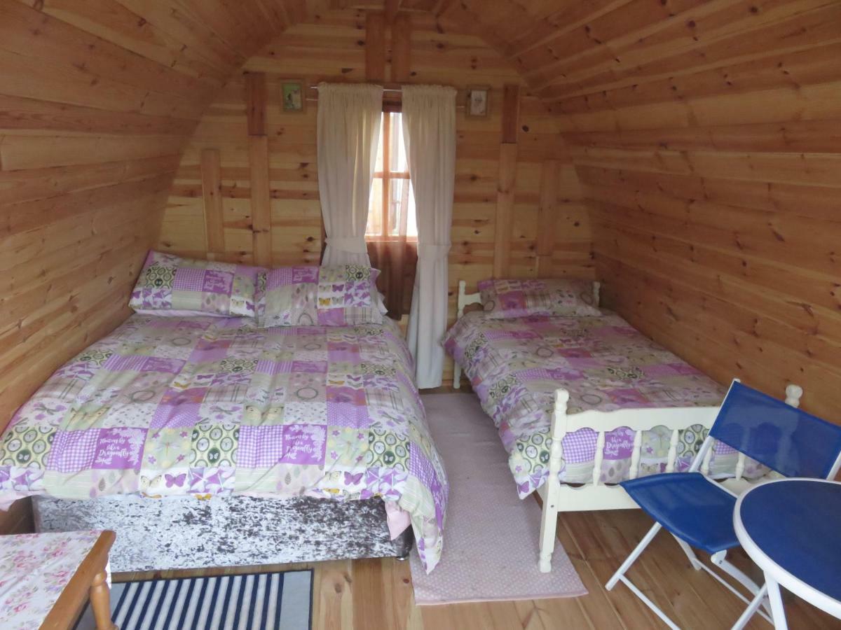 Shannon Estuary Glamping Effernan Eksteriør bilde