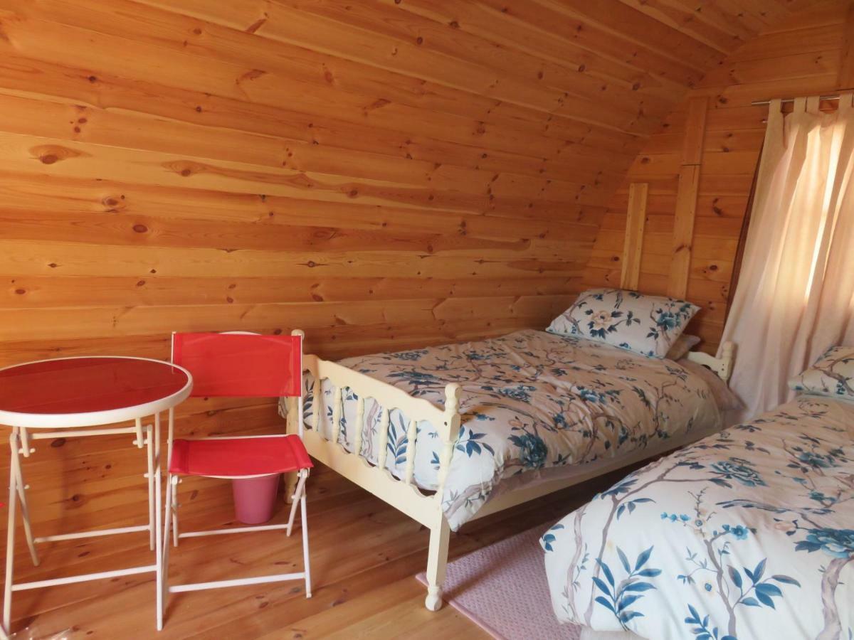 Shannon Estuary Glamping Effernan Eksteriør bilde