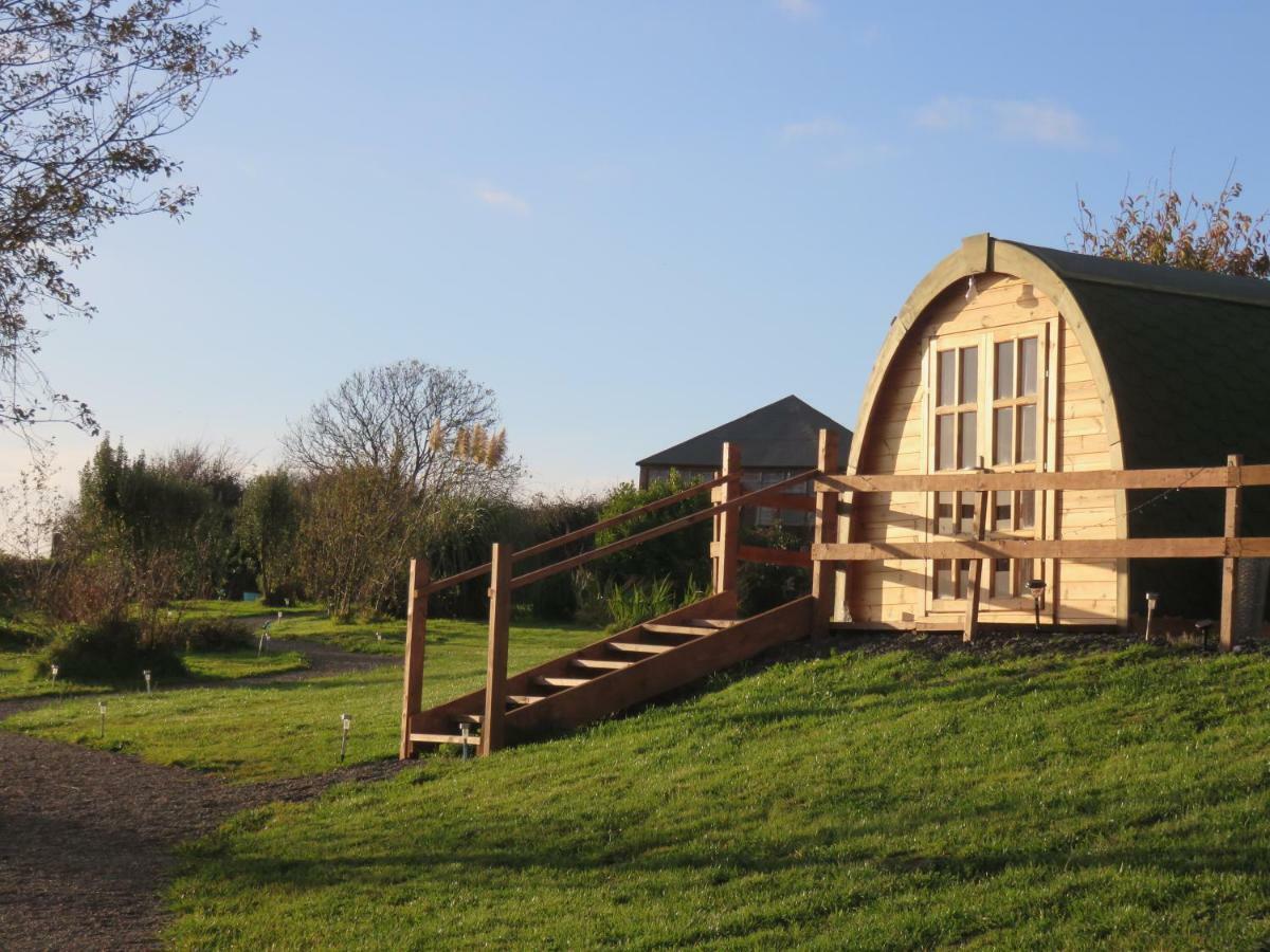 Shannon Estuary Glamping Effernan Eksteriør bilde